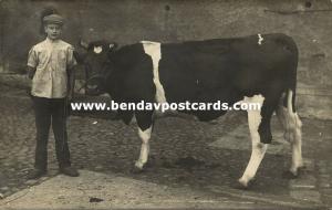 germany, LUCKAU, Fürstlich Drehna, Boy with Bull Cow (1915) RPPC (1)
