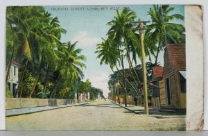 Key West Florida Tropical Street Scene c1910 Postcard K9