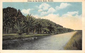Palms on the River Bank Misc, Florida