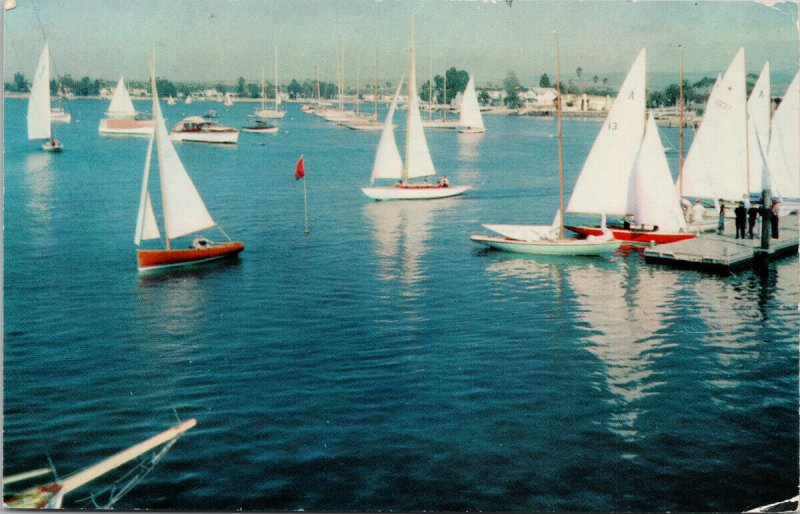 Newport Bay CA Regatta Day Yacht Club Sailboats Unused Postcard F48a