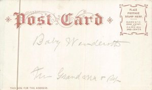 THE CAPITOL WASHINGTON DC LIVINGSTON POSTCARD (c. 1900)