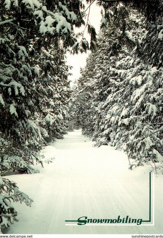 Snowmobiling In The North Country