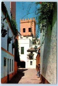 SEVILLA Tower in the Jewry SPAIN 4x6 Postcard