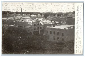 1910 Bird's Eye View From Court House Storm Lake Iowa IA Posted Trees Postcard