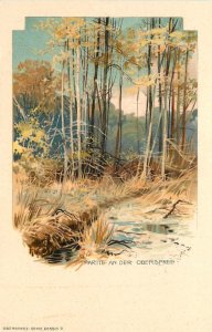 German Art Postcard Partie an der Oberspree 9. Berlin Chromolithograph Trees