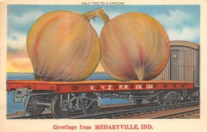 Only Two To Carload Medaryville, Indiana USA View Postcard Backing 
