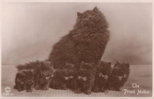 Our Proud Mother Rotary Antique Real Photo Cat Postcard