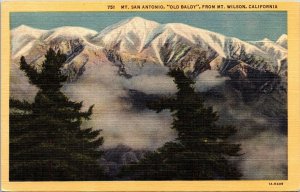 Mt San Antonio Old Baldy Wilson California CA Linen Postcard VTG UNP Curt Teich  