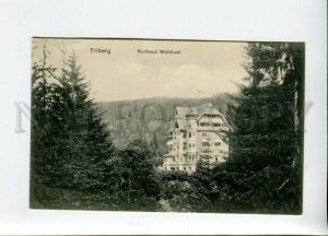 3155427 Germany TRIBERG Kurhaus Waldlust Vintage postcard