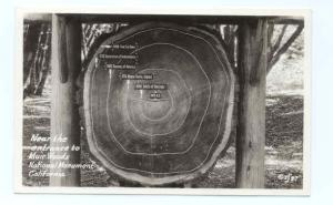 Tree Ring Sign, Muir Woods National Monument, California CA, RPPC