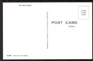 No Rain Today,Cat,Umbrella