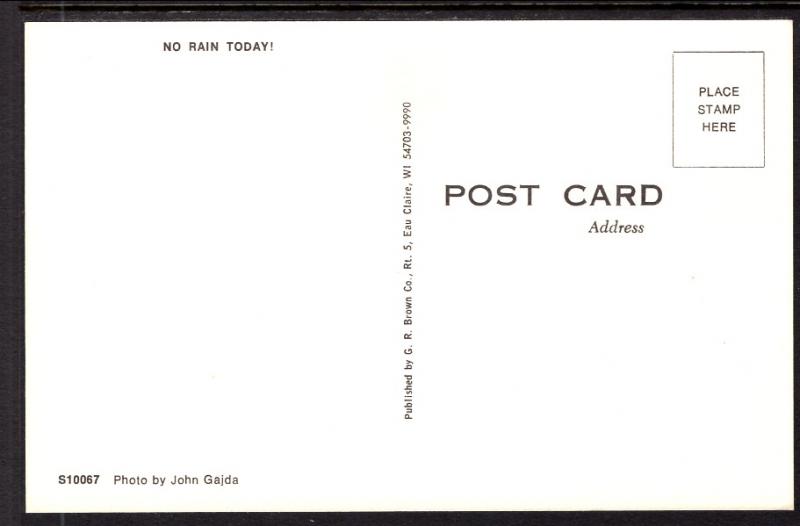 No Rain Today,Cat,Umbrella