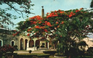 Panama The Beautiful Plaza de Francia Panama City Vintage Postcard 04.01