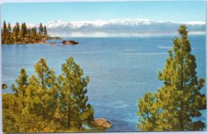 postcard NV Lake Tahoe and Snow-capped sierras - view from Nevada Shore