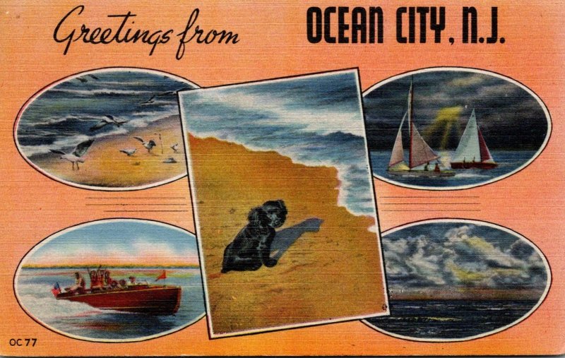 New Jersey Ocean City Greetings With Multi View 1947