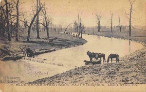Blue Grass Stock Farm Horses at Dam Lexington Kentucky 1910c postcard