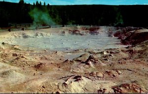 Yellowstone National Park Fountain Paint Pot Lower Geyser Basin