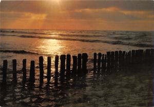 BT4715 Blankenberge l Belgium