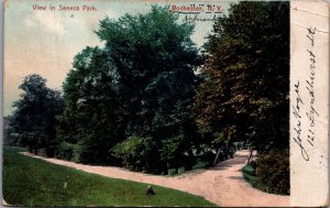 View In Seneca Park Rochester New York Vintage Postcard C116