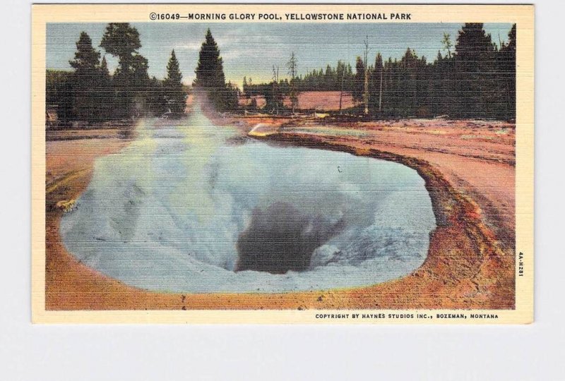 VINTAGE POSTCARD NATIONAL STATE PARK YELLOWSTONE MORNING GLORY POOL #13