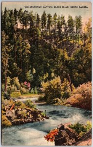 1952 Spearfish Canyon Black Hills South Dakota SD Pine Trees Posted Postcard