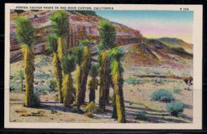 California, Red Rock Canyon