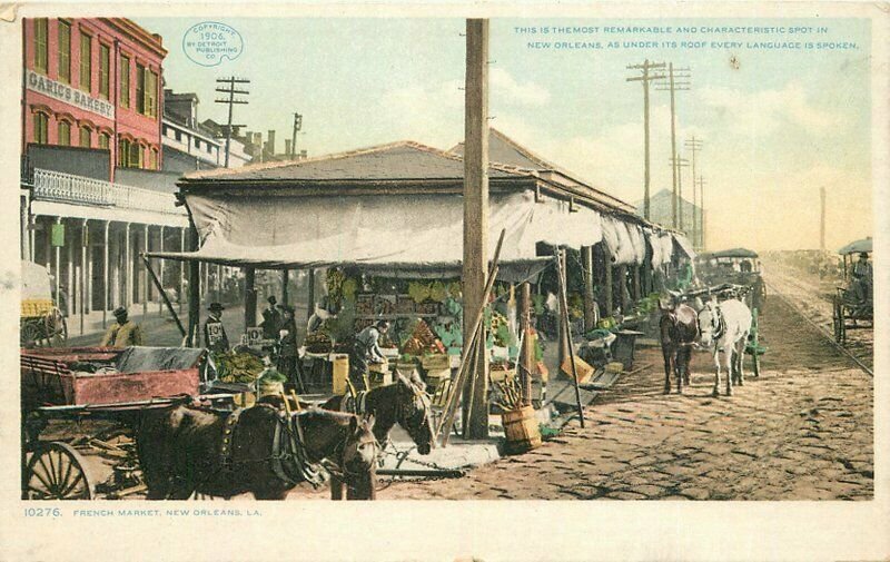 New Orleans Louisiana French Market C-1910 Postcard Detroit Publishing 21-7702