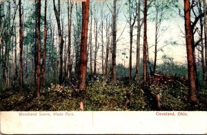 Ohio Cleveland Wade Park Woodland Scene 1908