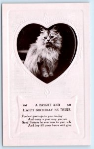 RPPC FLUFFY CAT Embossed BRIGHT & HAPPY BIRTHDAY Davidson Bros. c1910s Postcard