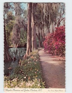 Postcard Magnolia Plantations and Gardens, Charleston, South Carolina