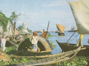 Bangladesh Boats & Ships in Gange River Mouth Postcard