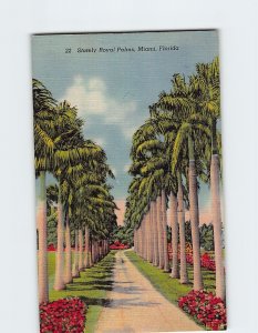 Postcard Stately Royal Palms Miami Florida USA