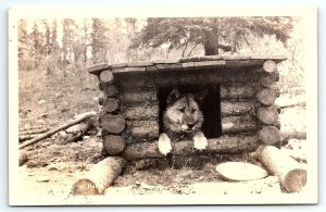 1930s ALASKA MALAMUTE SLED DOG AT HOME LOG CABIN DOGHOUSE RPPC POSTCARD P2417