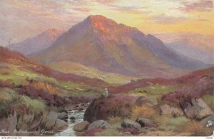 Near Ballachulish, 1900-10s; TUCK 6214