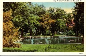 Kentucky Ashland Central Park Lily Pool Curteich
