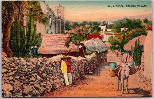 Typical Mexican Village, Mexico People Mule Burro, Community, Vintage Postcard