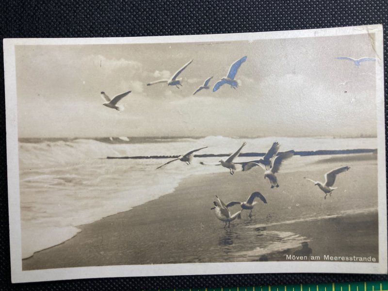 German Seashore with Seagulls and Friedrich Ebert Stamp