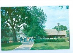 LP100 San Marcos, Texas, TX, Postcard, Aquarena.