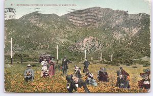 Gathering Poppies in Midwinter, In California - 1909