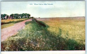 ALDA, Nebraska NE   WHEAT FIELD  ca 1910s  Hall County Farming Postcard