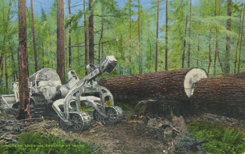 Modern Logging Tractor At Work Hyster Equipment Forestry Unused Postcard E9 