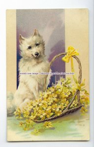 an1047 - White Dog & Basket of Yellow Flowers Series5575, Artist - U/K- postcard