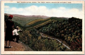 North Carolina Oconaluftee Gorge Great Smoky Mountains National Park Postcard