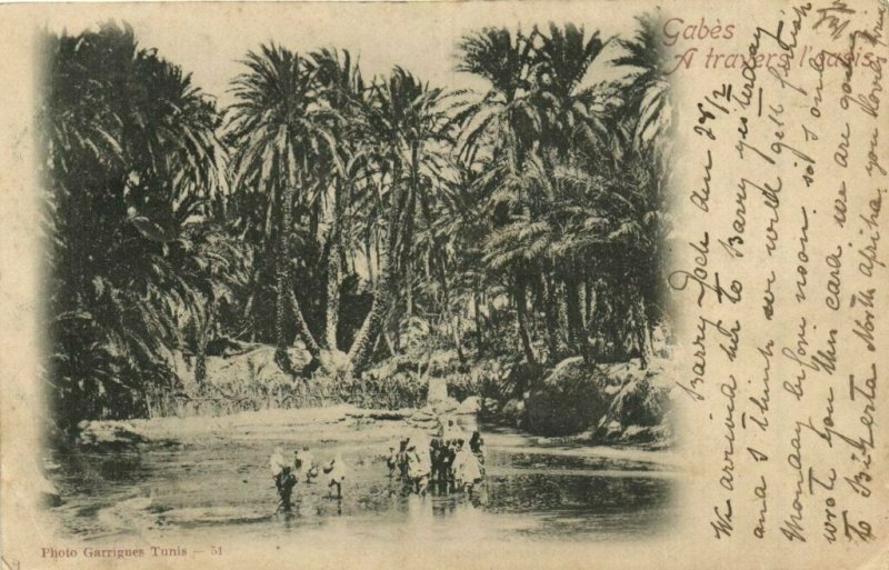 CPA AK TUNISIE GABES a Travers l'oasis (174999)