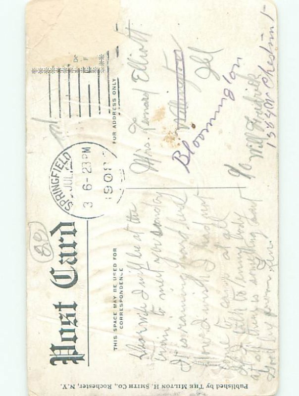 Divided-Back PATRIOTIC SCENE Great Postcard AB0276