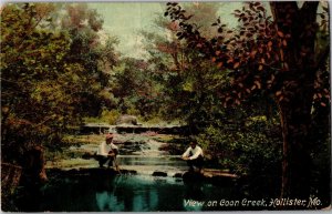 View on Coon Creek, Hollister MO c1910 Vintage Postcard V01