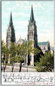 Albany New York 1906 Postcard Cathedral Of The Immaculate Conception