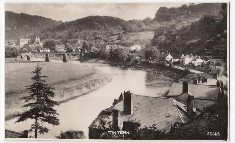 Monmouthshire; Tintern Abbey & Village From River, RP PPC, Unused, By Photochrom