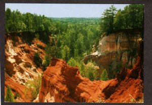 GA Providence Canyon State Park Lumpkin Georgia Postcard