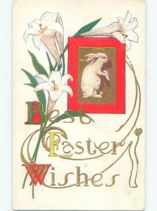 Divided-Back EASTER BUNNY RABBIT SCENE Cute Postcard AA1189